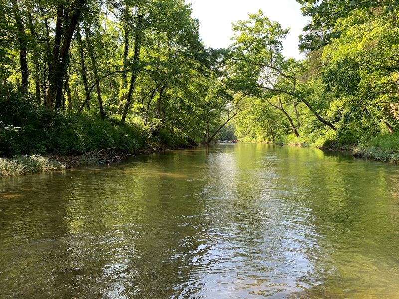 Courtois Creek Float Trip