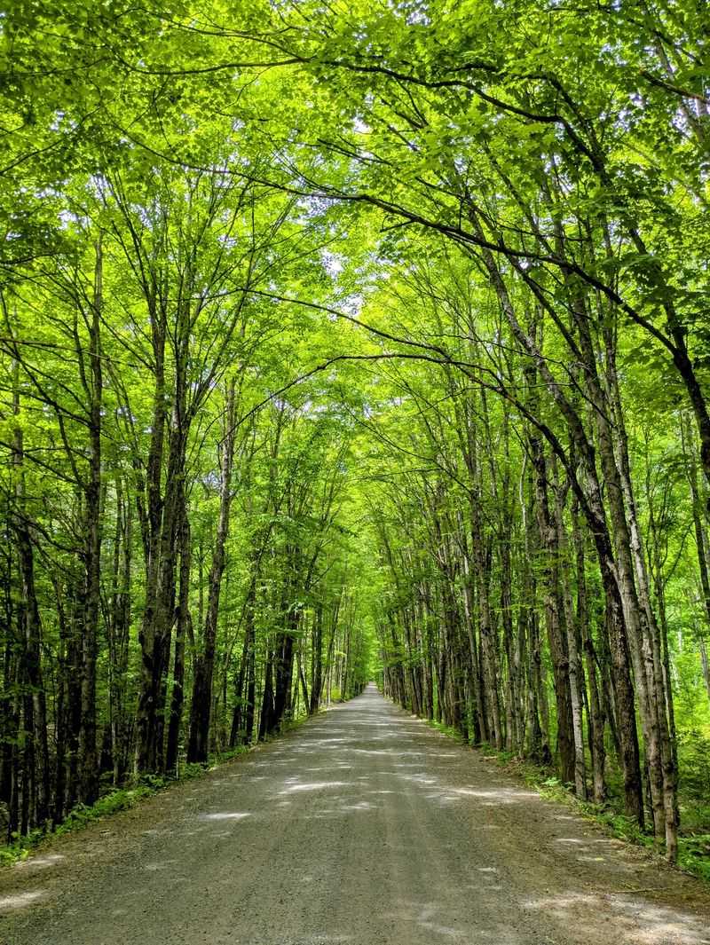 Covered Drive, Stanton Township