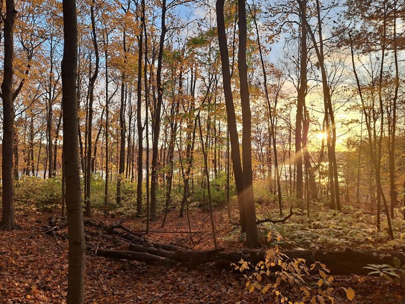 Cowan Lake State Park, Wilmington