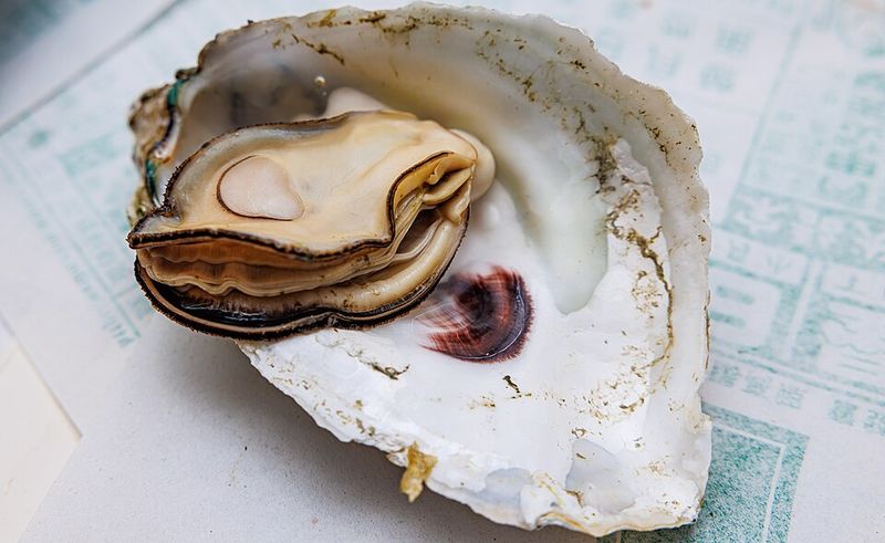 Rocky Mountain Oysters