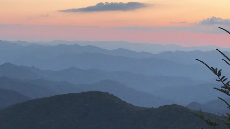 Why Locals Whisper About It