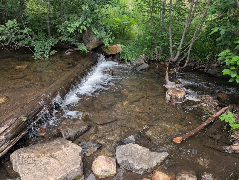 Cowles Campground