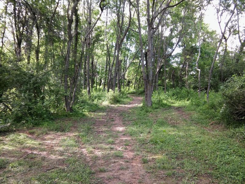 Coyner Springs Park