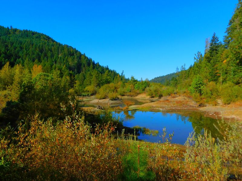 Coyote Creek Still Winds Past The Spot Where It All Began