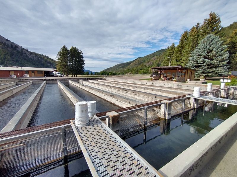 Fish Hatchery Bonus Stop