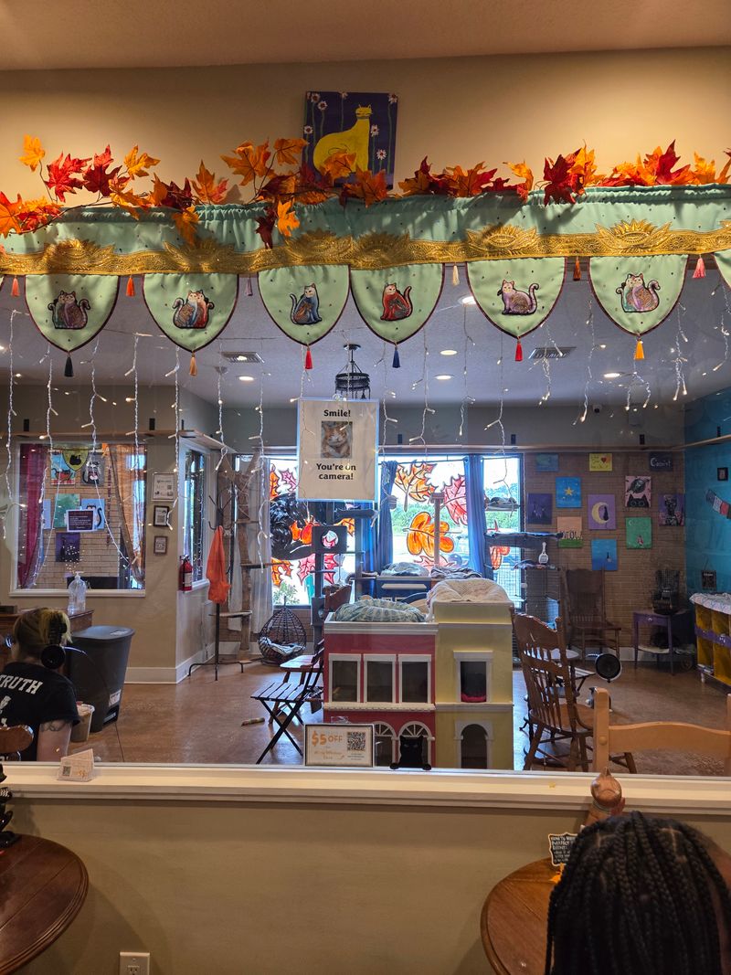 Quality Beverages And Snacks