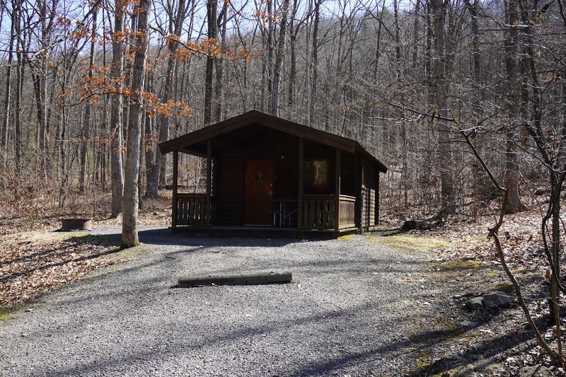 Cozy Cabins For Comfort Seekers