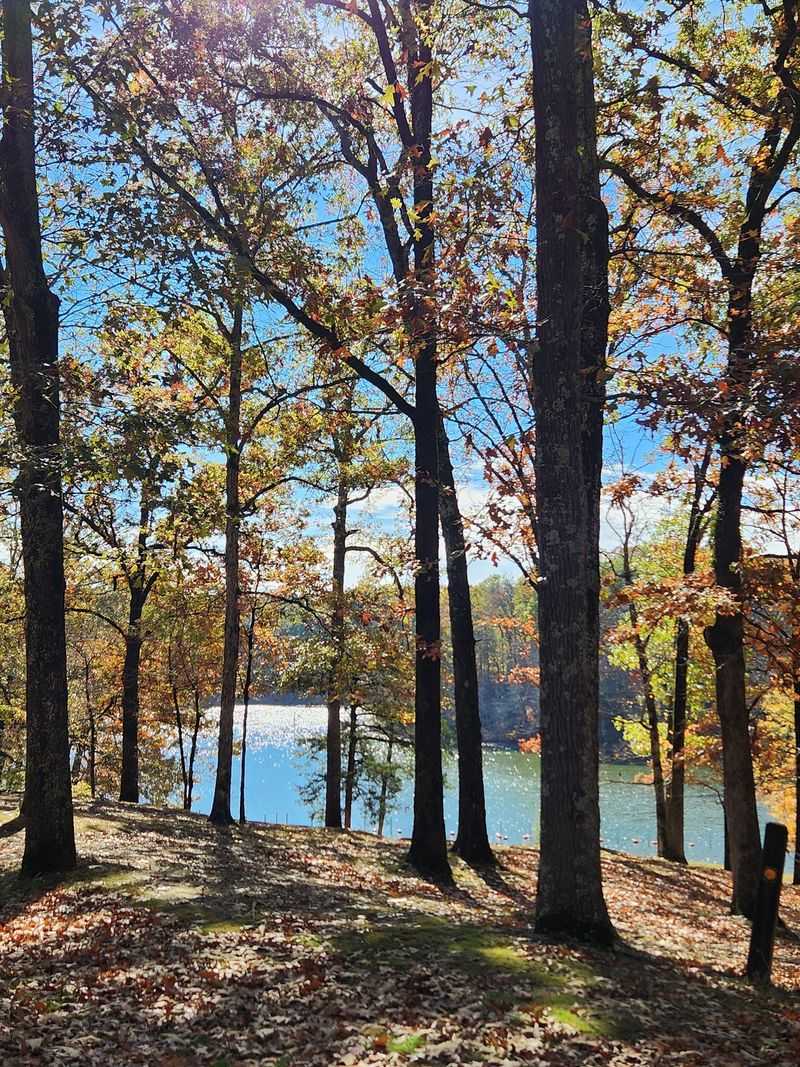 Cozy Cabins Turn A Day Hike Into A Whole Getaway Cozy Cabins Turn A Day Hike Into A Whole Getaway