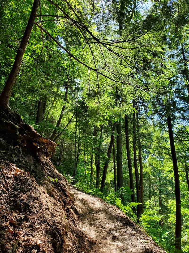 Mountain Biking Challenges