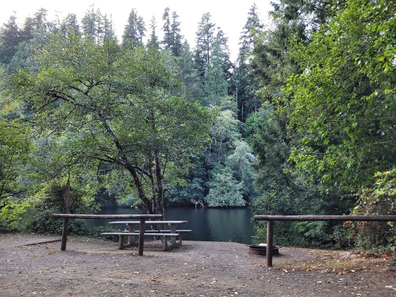 Cozy Campsites Wrapped in Woods