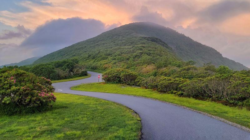 Swing Through Craggy Gardens