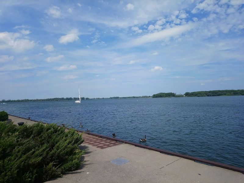 Bay Views That Make Every Meal Better