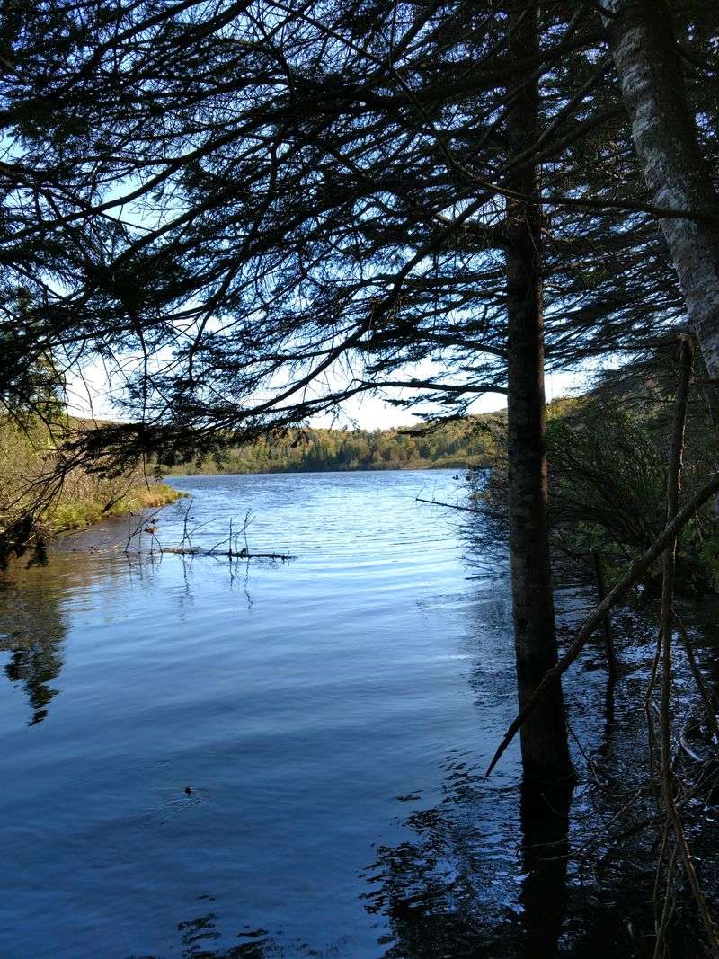 Miners Lake (Pictured Rocks National Lakeshore, UP)