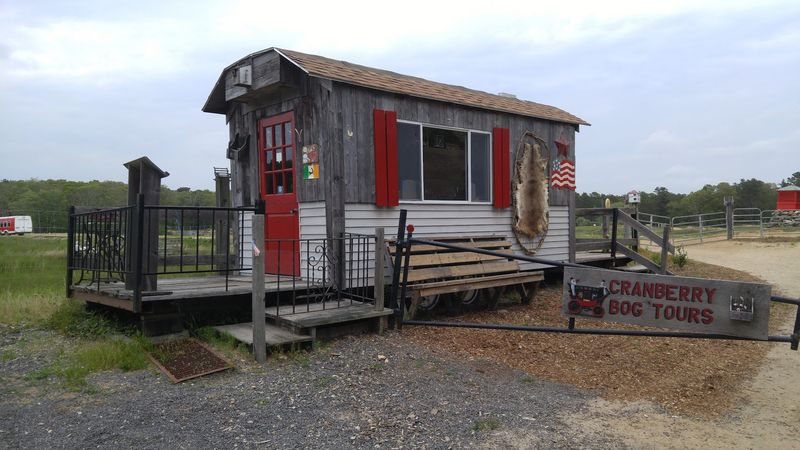 Cranberry Bog Tours