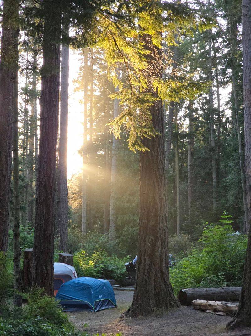 Cranberry Lake Campground, Oak Harbor, WA