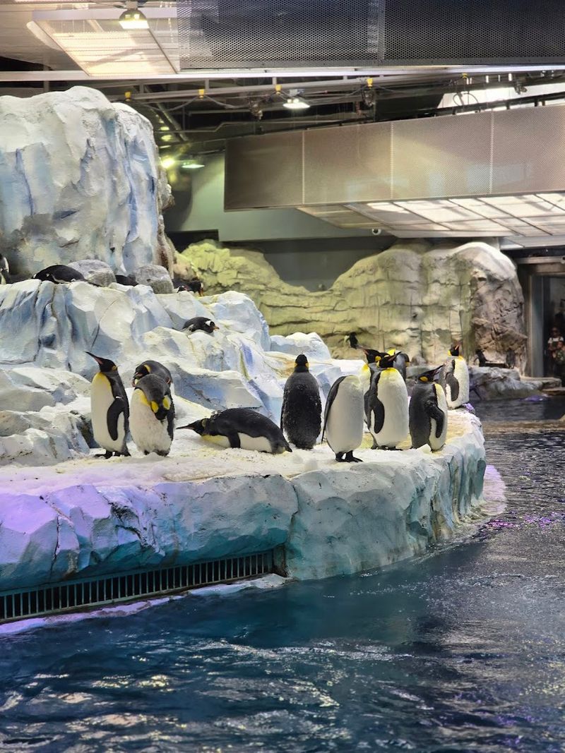 Detroit Zoo, Royal Oak