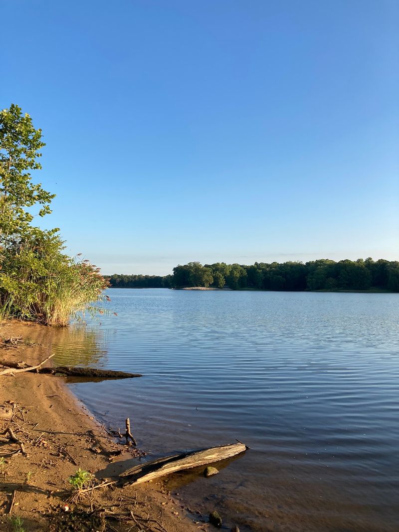Crappie, Minnows, And A Fisherman's Happy Place