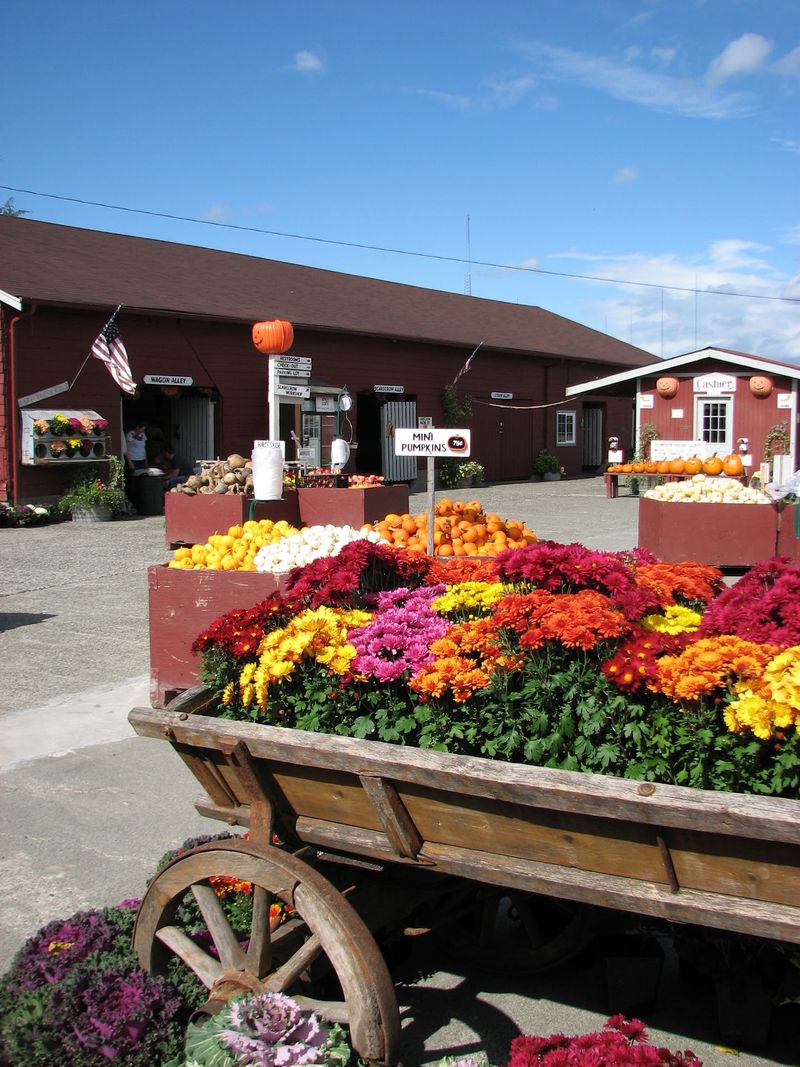 Craven Farm, Snohomish, WA Craven Farm, Snohomish, WA