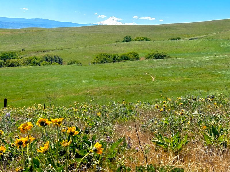 Crawford Oaks Trailhead and the Vista Loop