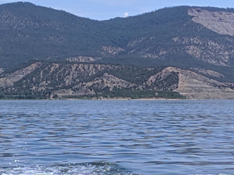 Navajo State Park — Arboles