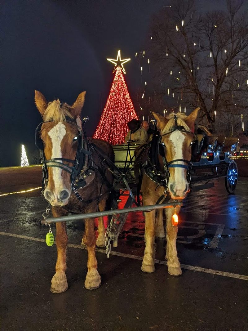 White River Wonderland Carriage Rides, Batesville