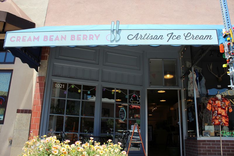 Cream Bean Berry, Durango