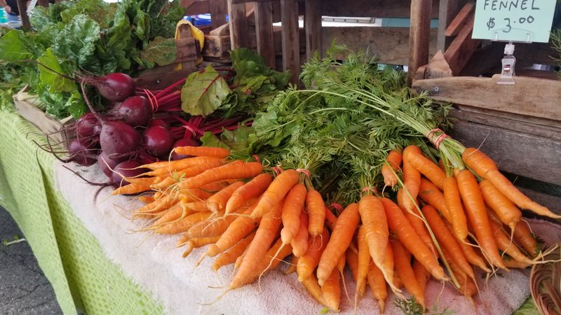 Farm-to-Table Dining Feels Authentic Here