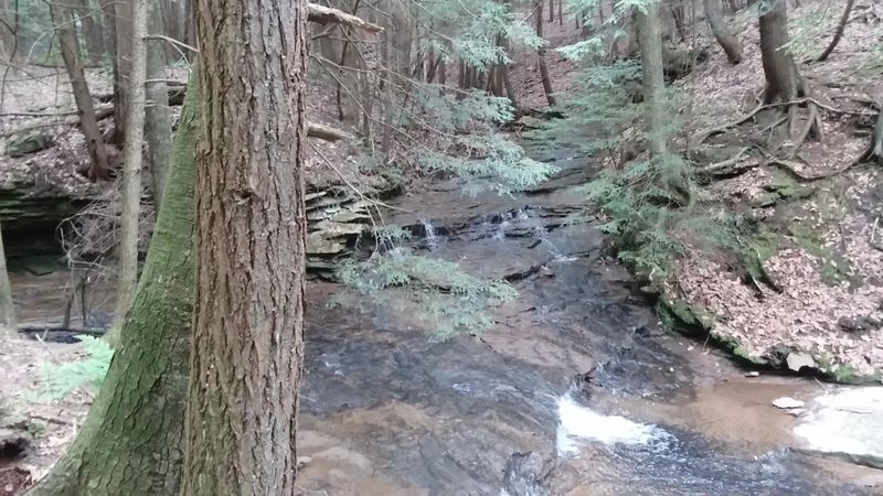 Creek Crossings Add A Little Adventure To Every Walk