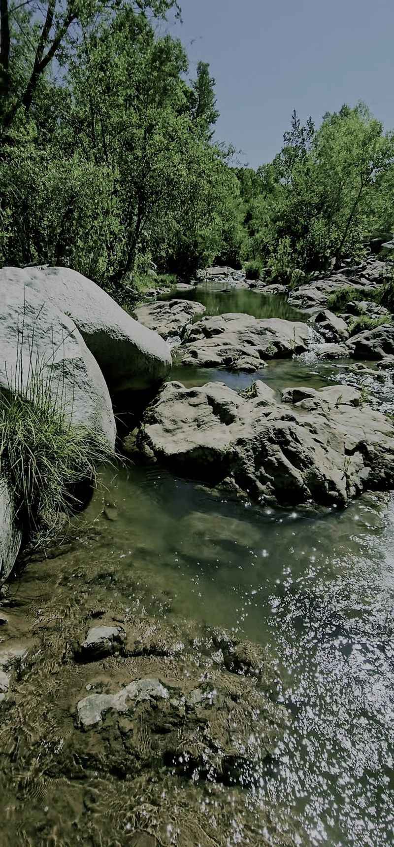 Creek Crossings You'll Need to Wade