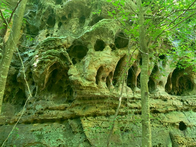 Wildlife Encounters Range from Delightful to Concerning