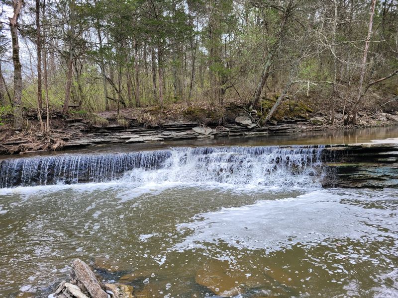 The Waterfall Reveal
