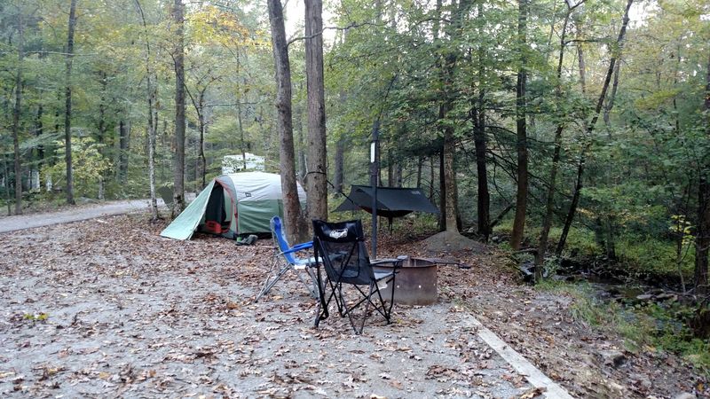 Creekside Camping Under Starry Skies Creekside Camping Under Starry Skies