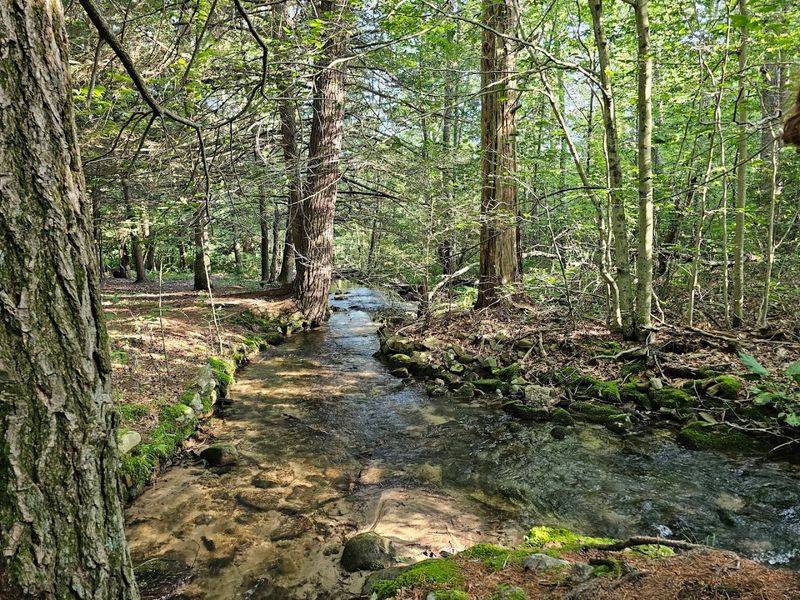 Creekside Trail, Nescopeck State Park Creekside Trail, Nescopeck State Park