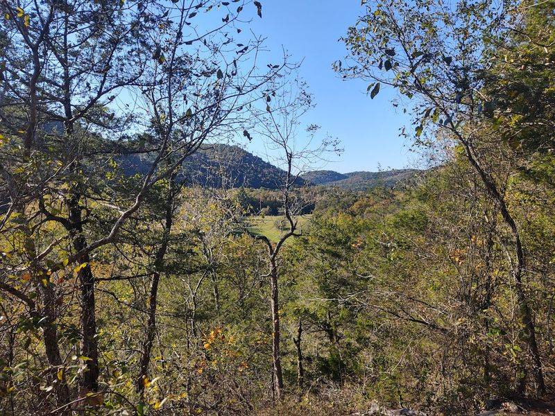 Creekside Views Beneath The Ozark Canopy