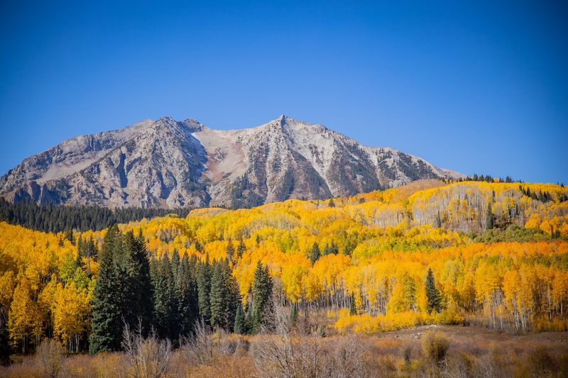 Crested Butte & Kebler Pass - Gunnison County