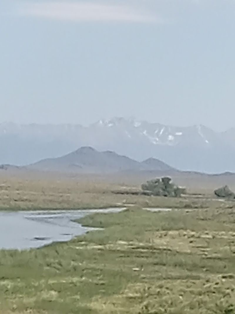 Wildlife, Wide Land, and the Slow Reward of Paying Attention