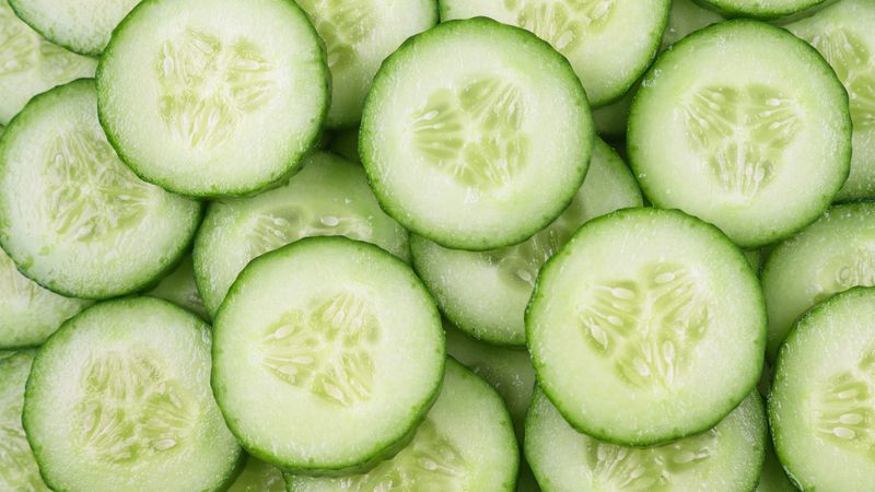 Cucumbers Become Waterlogged Nightmares