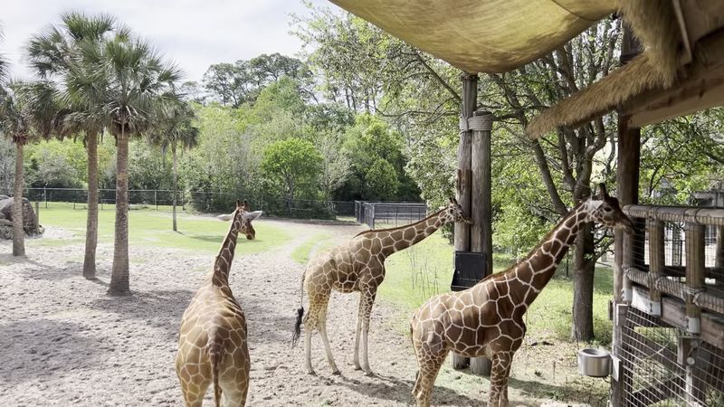 Year-Round Warm Water Refuge
