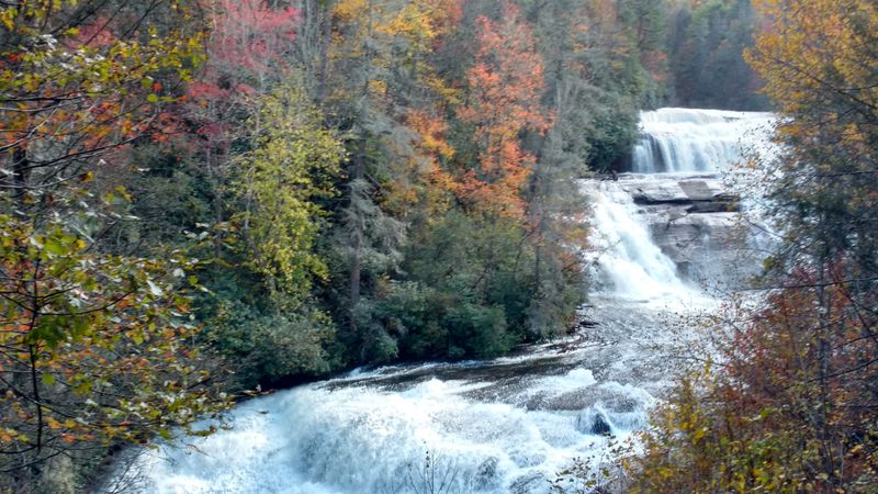 DuPont State Recreational Forest - 89 Buck Forest Rd, Cedar Mountain
