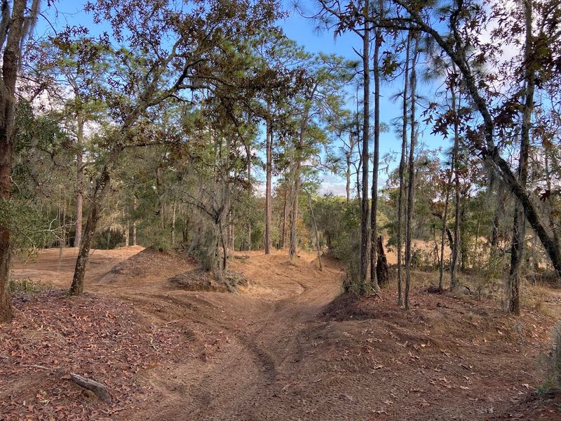 Croom, Brooksville