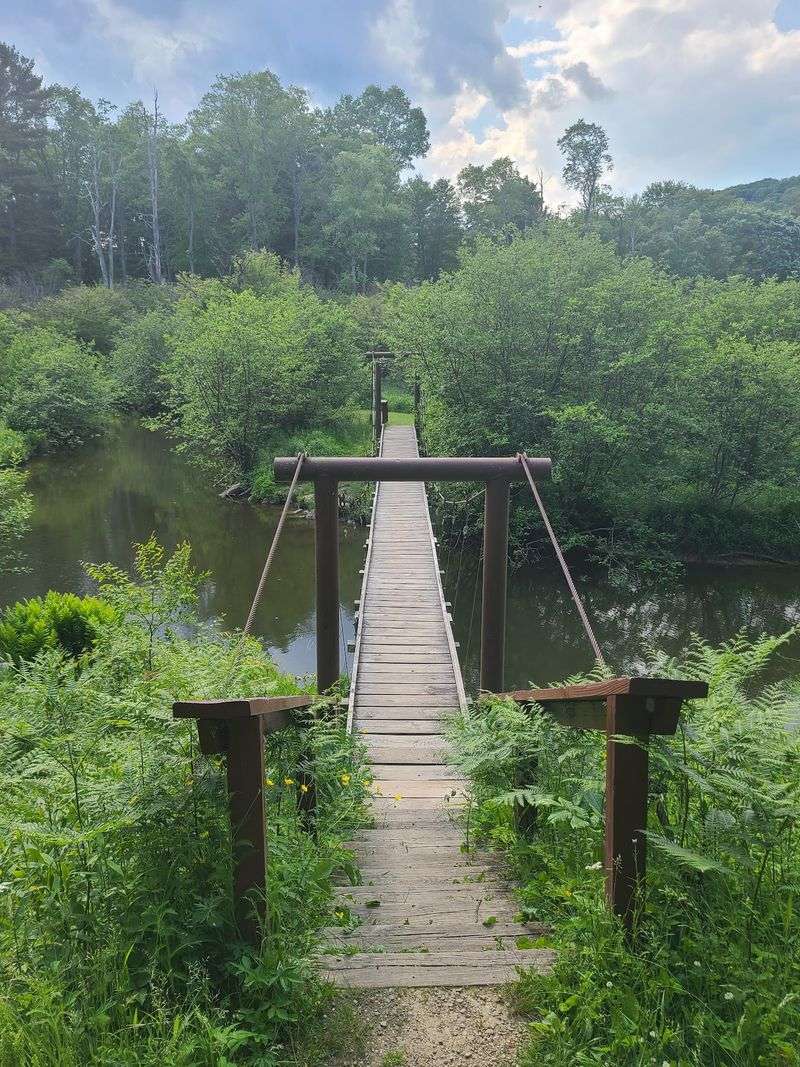 Cross A Swinging Bridge Before Lunch Cross A Swinging Bridge Before Lunch