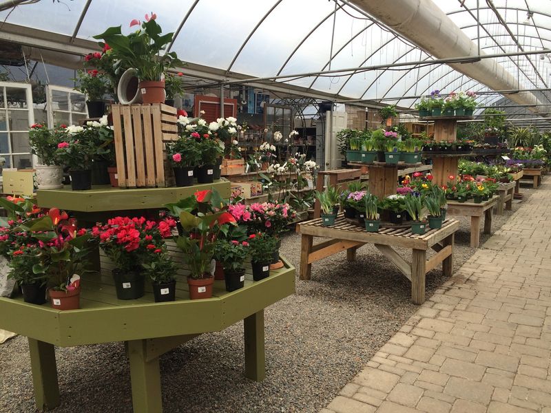 Cross Creek Nursery & Landscape Cross Creek Nursery & Landscape