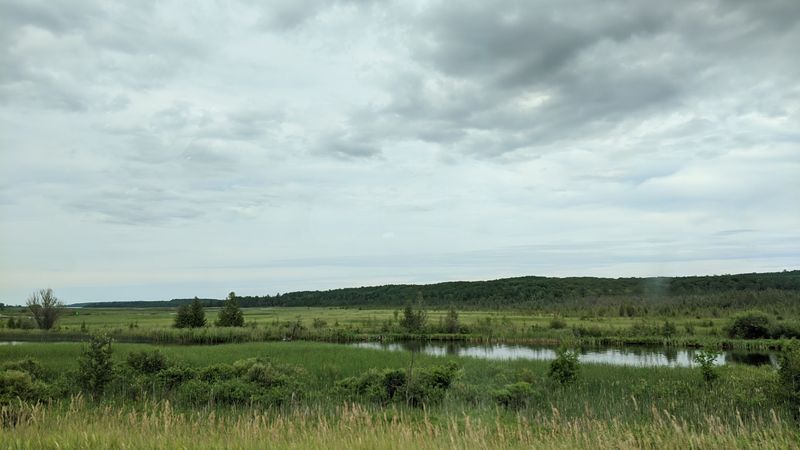 Sturgeon River, Quick And Clear