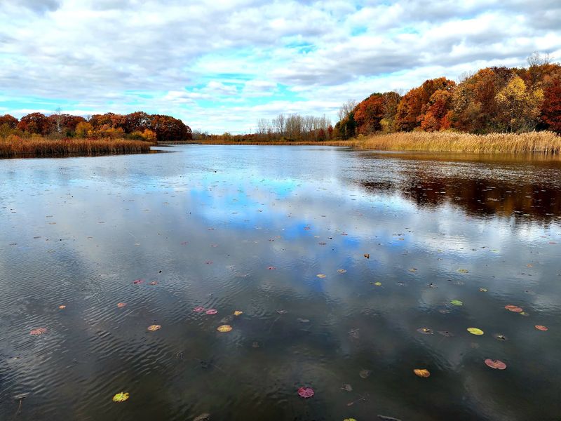 Crosswinds Marsh Wetland Interpretive Preserve