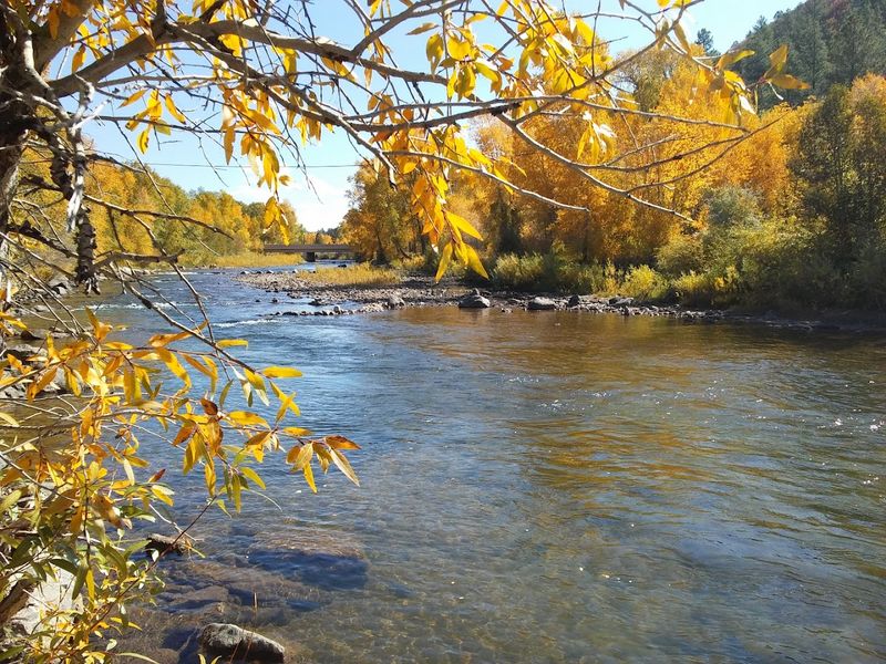 Families Get A Lot Of Practical Value From A Short Trip Here