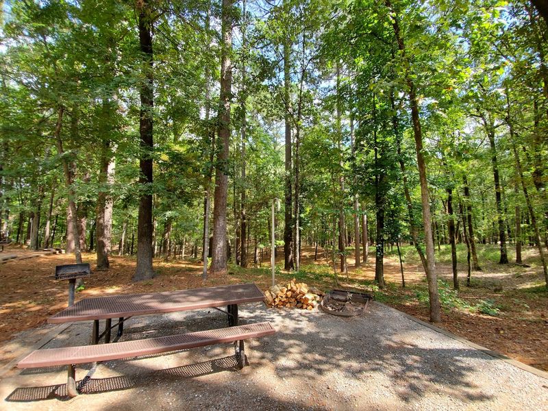 Cane Creek State Park, Star City