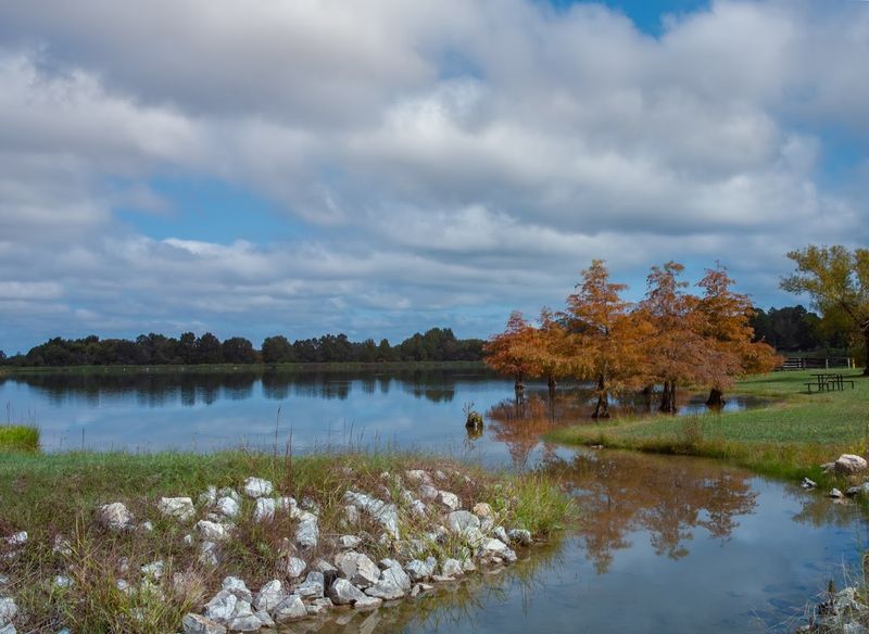 Crowley's Ridge State Park 