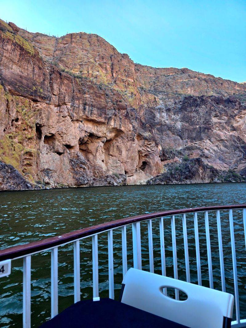 Cruise Options From Short Scenic Loops to Wildlife Trips
