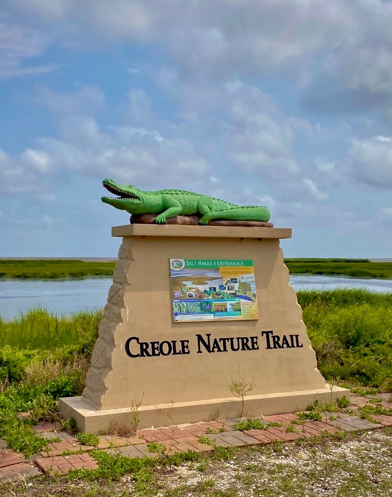 Cruise The Creole Nature Trail All-American Road