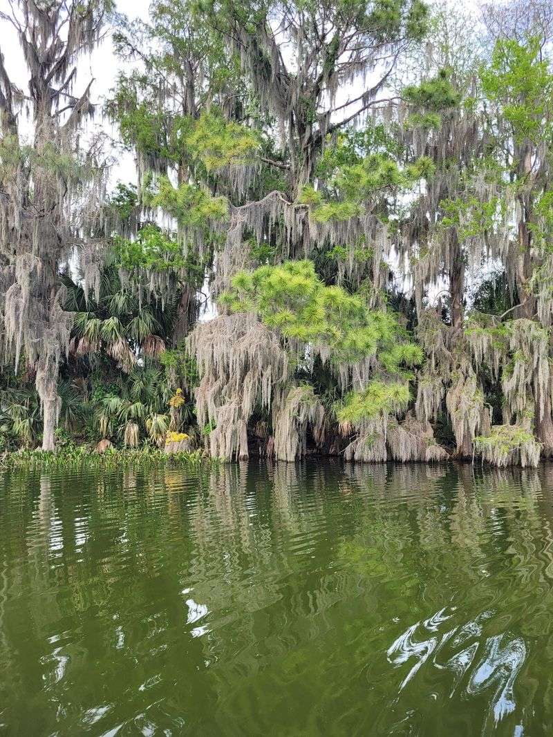 Cruising The Dora Canal